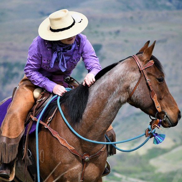 Meet your Posher, Callie - Picture 2 of 3